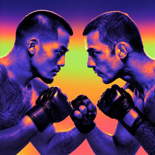 UFC 331